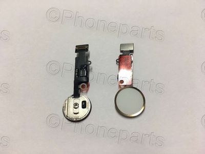 Cable Flex con Botón Menú (home) con Sensor Huella Apple iPhone7 Dorado