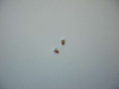 Tornillo para Nokia N95