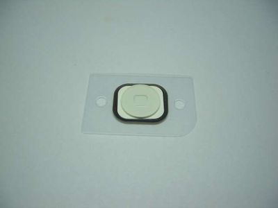 Botón Menu (HOME) Apple iPhone5 Blanco con Goma