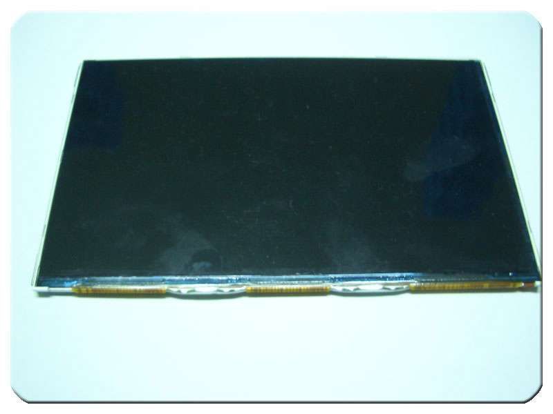 Display / LCD Samsung GALAXY TAB P1000