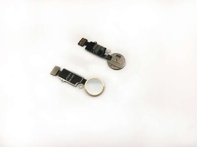 Flex Botón Home Universal Apple Iphone7, 7+, 8, 8+ Función Home Retroceso sin Huella Blanco Dorado