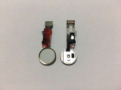 Cable Flex con Botón Menú (home) con Sensor Huella Apple iPhone7 PLUS 7+ Dorado