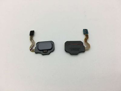 Cable Flex Botón Menú Sensor Huella Samsung G950G Galaxy S8, G955F Galaxy S8 Plus Violeta