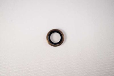 Embellecedor con Lente Cámara Apple IPhone 6S PLUS + Rosa