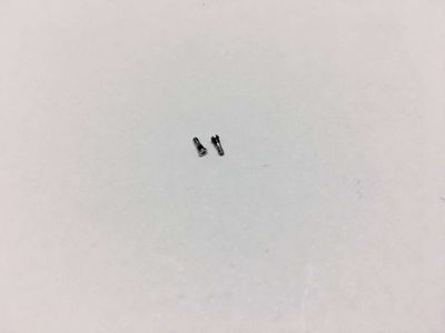 Tornillos Tapa Apple Iphone7 / 7 Plus Plata (unidad)